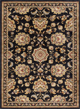 Charlotte Traditional Oriental Black Rectangle Area Rug, 5'x7'