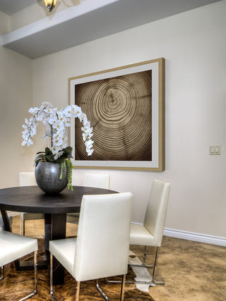 "Rings of Age" Framed Art Print