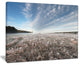"Autumn Hoarfrost on Grass" Landscape Print Wall Artwork, 20"x12"
