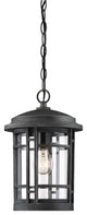 Barrister 1 Light Outdoor Hanging Lantern, Weathered Pewter