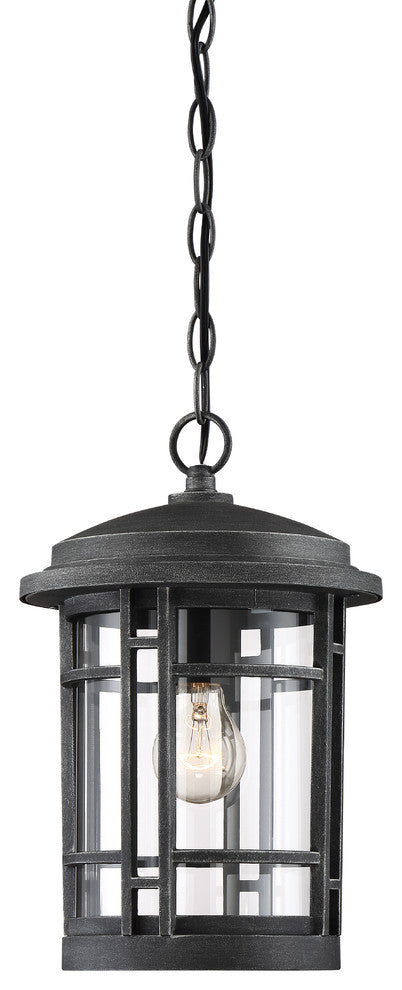 Barrister 1 Light Outdoor Hanging Lantern, Weathered Pewter
