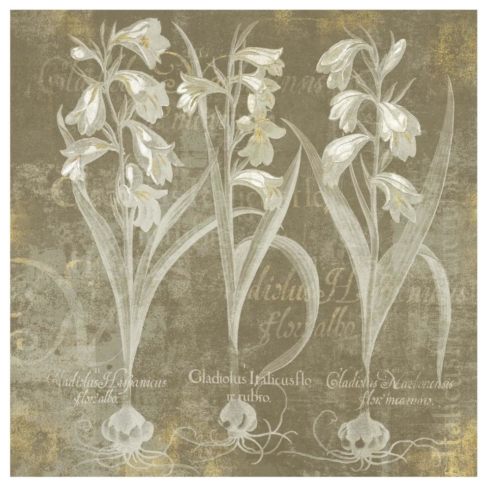 "Flower Lines I" Digital Paper Print by Sue Schlabach, 32"x32"