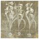"Flower Lines I" Digital Paper Print by Sue Schlabach, 32"x32"