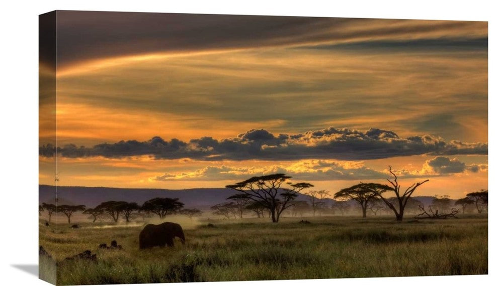 "Africa" Stretched Canvas Giclee by Amnon Eichelberg, 22"x14"
