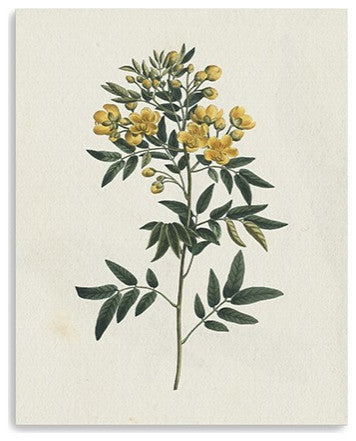 20" Singular Yellow Blossom Branch Canvas Wall Art