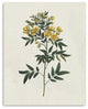 20" Singular Yellow Blossom Branch Canvas Wall Art
