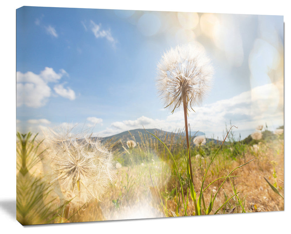 Blooming Dandelion under Bright Sky, Floral Canvas Art Print, 20"x12"