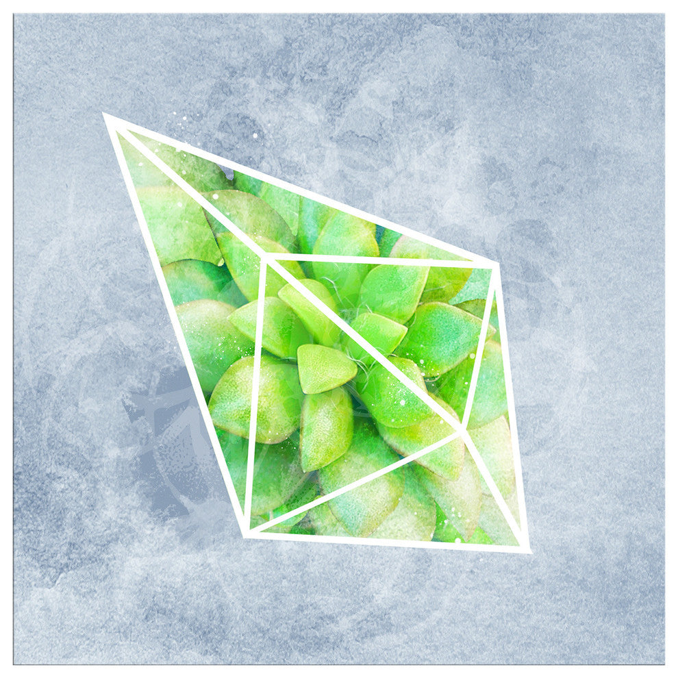 Ready2HangArt 'Crystal Terrarium III' Wrapped Canvas Succulent Wall Art, 30"x30"