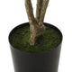Purling Artificial Pieris Tree, Green, 39.4 Wx39.4 Dx82.7 H