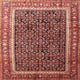 Ahgly Company Indoor Square Traditional Area Rugs, 5' Square