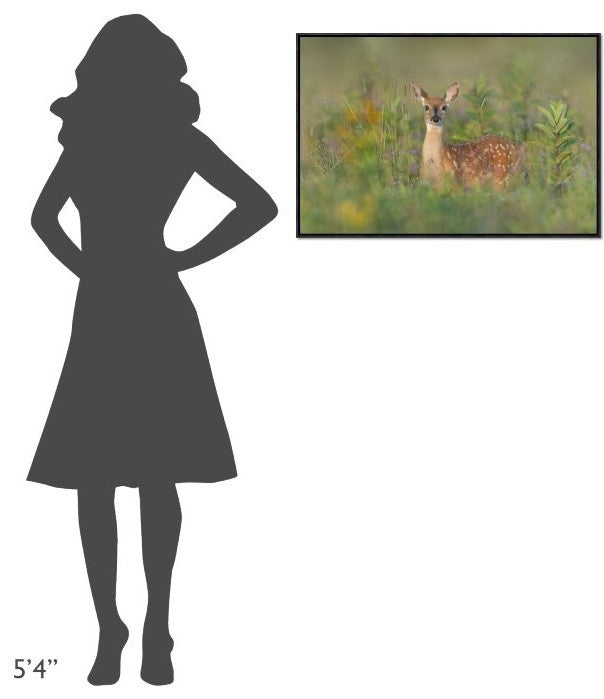 "Fragrance Of Summer" Framed Canvas Giclee by Nick Kalathas, 31x21"