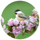 Andreas Chickadee & Blossoms Jar Opener