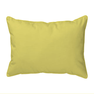 Chicks Large Indoor/Outdoor Pillow 16x20