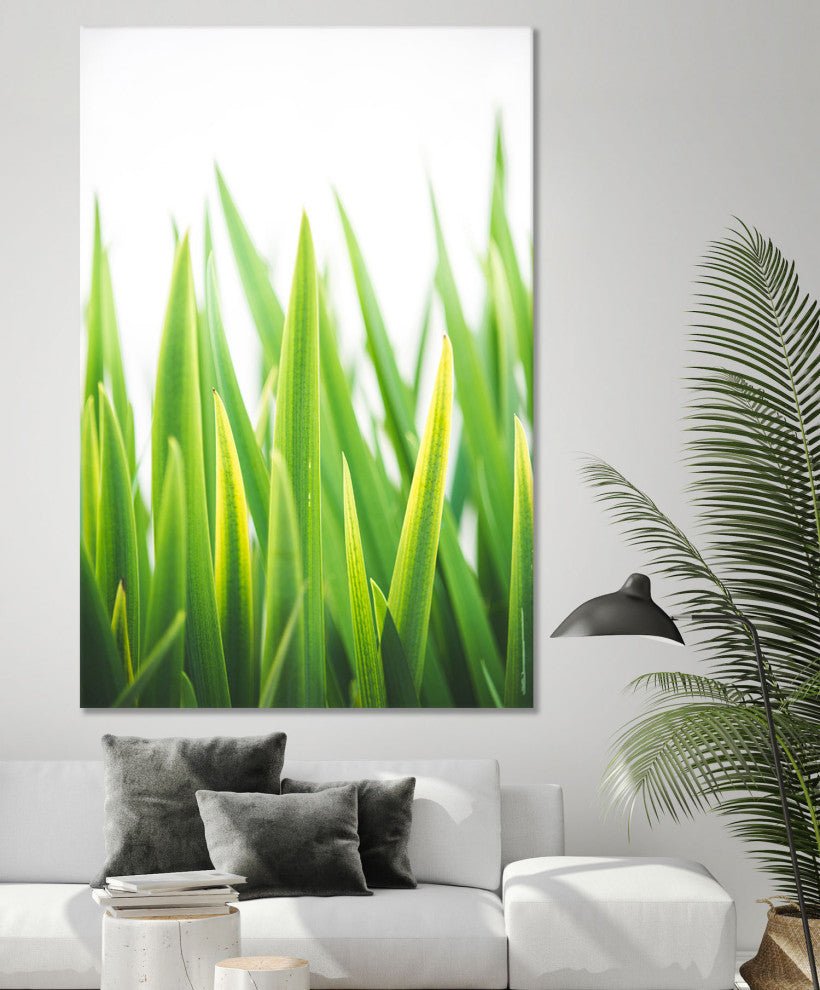 Blades of Green No. 2 - 72 x 48 by Sonja Quintero