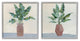 Green Palm Frond Plants Brown Jars Still Life,12 x 12