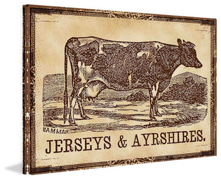 "Cows Jerseys" Painting Print on Canvas
