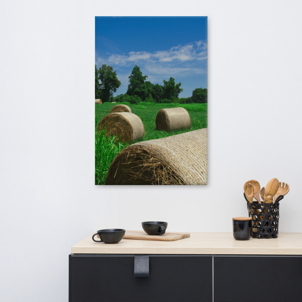 Hay Whatcha Doin in the Field Landscape Photo Canvas Wall Art Print, 24" X 36"