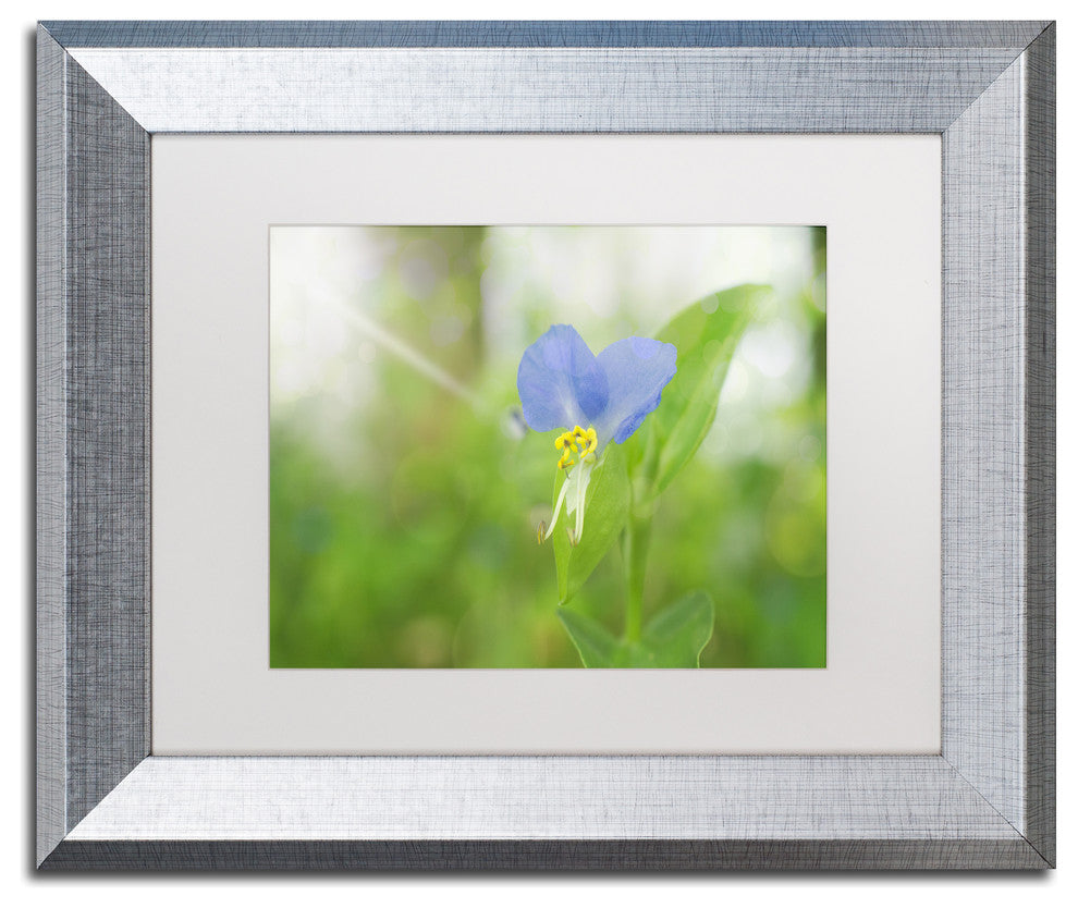 PIPA Fine Art 'Asiatic Dayflower' Matted Framed Art, 14x11