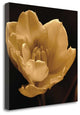 "Timeless Grace IV" By Charles Britt, Giclee Print on Gallery Wrap Canvas