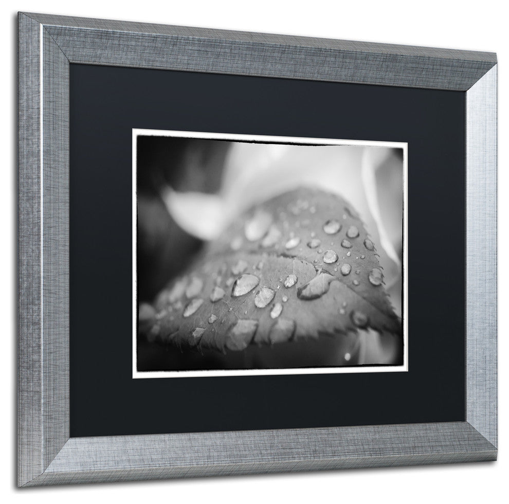 PIPA Fine Art ''Dew on Leaf of Rose Plant'' Matted Framed Art, 20x16