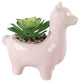 Pink Ceramic Llama Succ