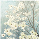 "Dogwood Blossoms I" Digital Paper Print by James Wiens, 20"x20"