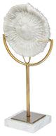 Sandy II, Medium 6"x3" White Coastal Sand Dollar Object, Large
