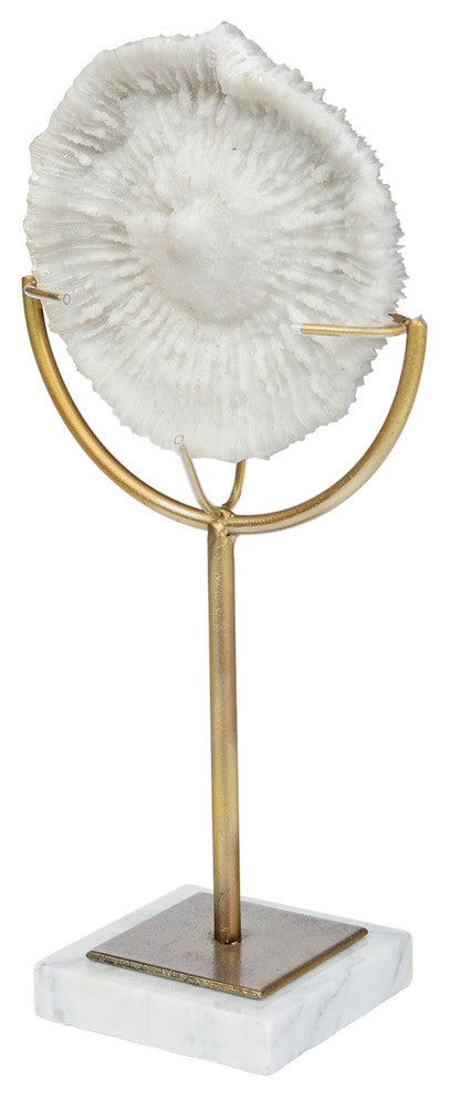 Sandy II, Medium 6"x3" White Coastal Sand Dollar Object, Large