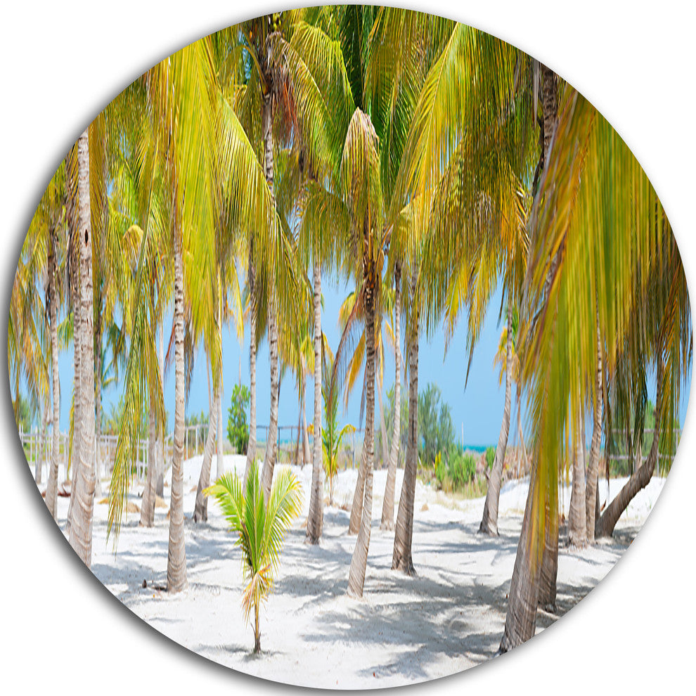 Palm Trees, Landscape Photography Large Disc Metal Wall Art, 23"