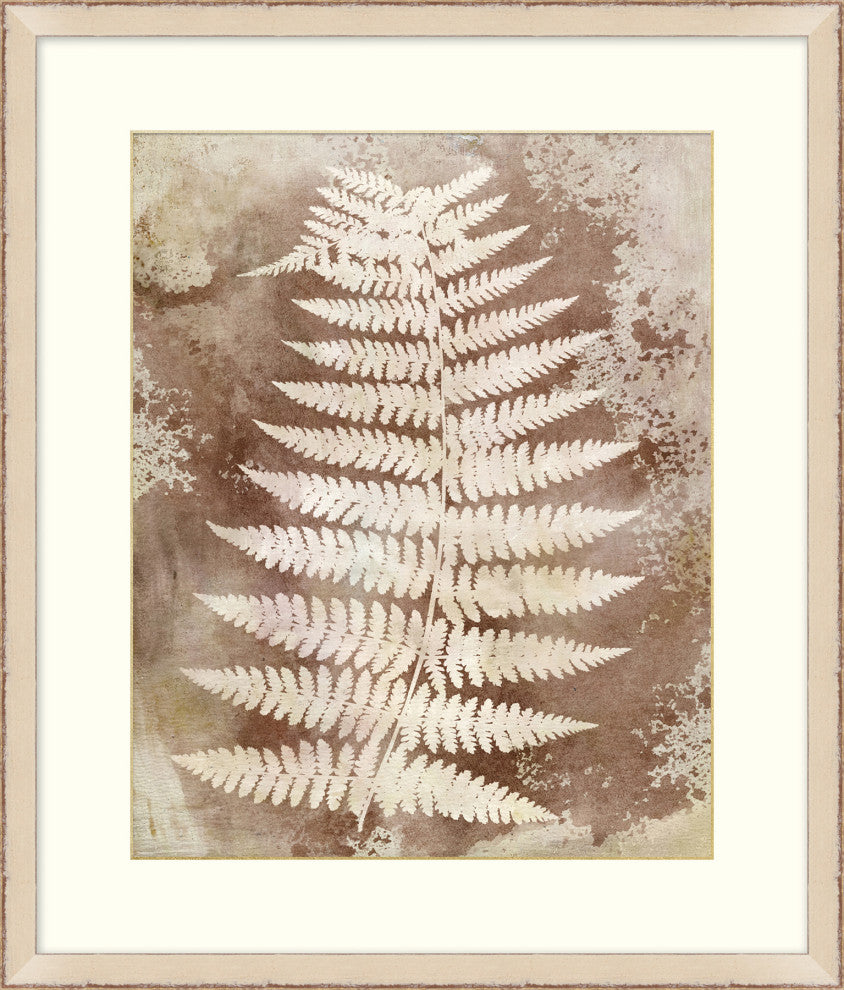 Routt Ferns 3, Giclee Reproduction Artwork