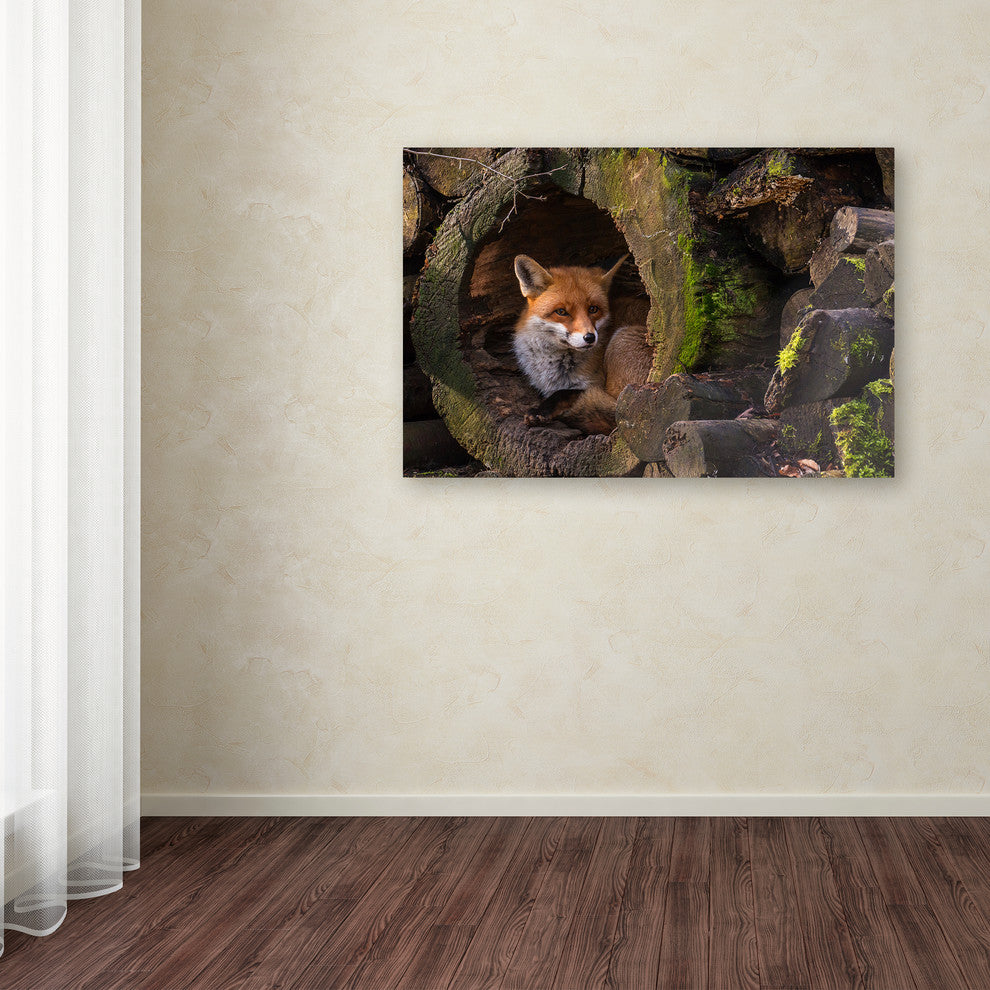 Cees van Ginkel 'Fox 2' Canvas Art, 24 x 16