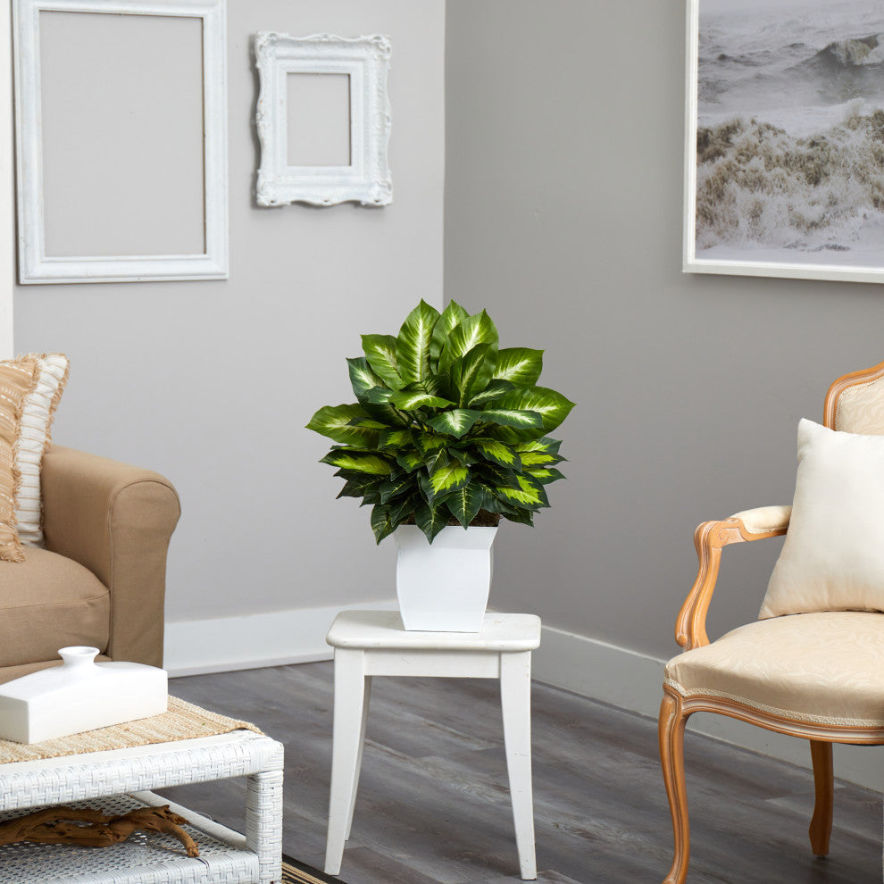 2' Golden Dieffenbachia Artificial Plant, White Metal Planter