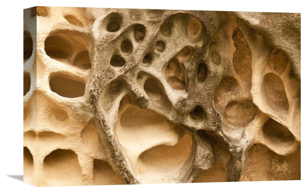 "Cavernous Weathering In Sandstone Rock, Sydney, Australia" Artwork, 18" x 12"