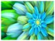 Massive Green Fractal Flower, Floral Canvas Art Print, 40"x30"