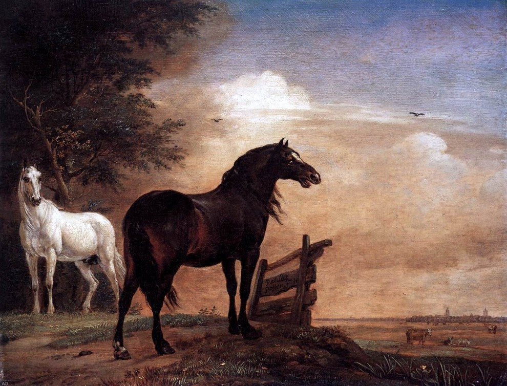 Paulus Potter Horses in a Field, 21"x28" Gallery Wrapped Canvas Print