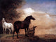 Paulus Potter Horses in a Field, 21"x28" Gallery Wrapped Canvas Print