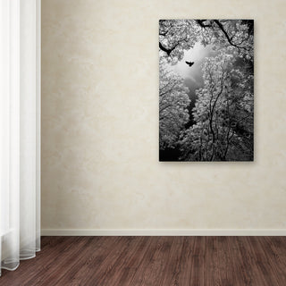 Goran Stamenkovic 'Flight' Canvas Art, 16x24