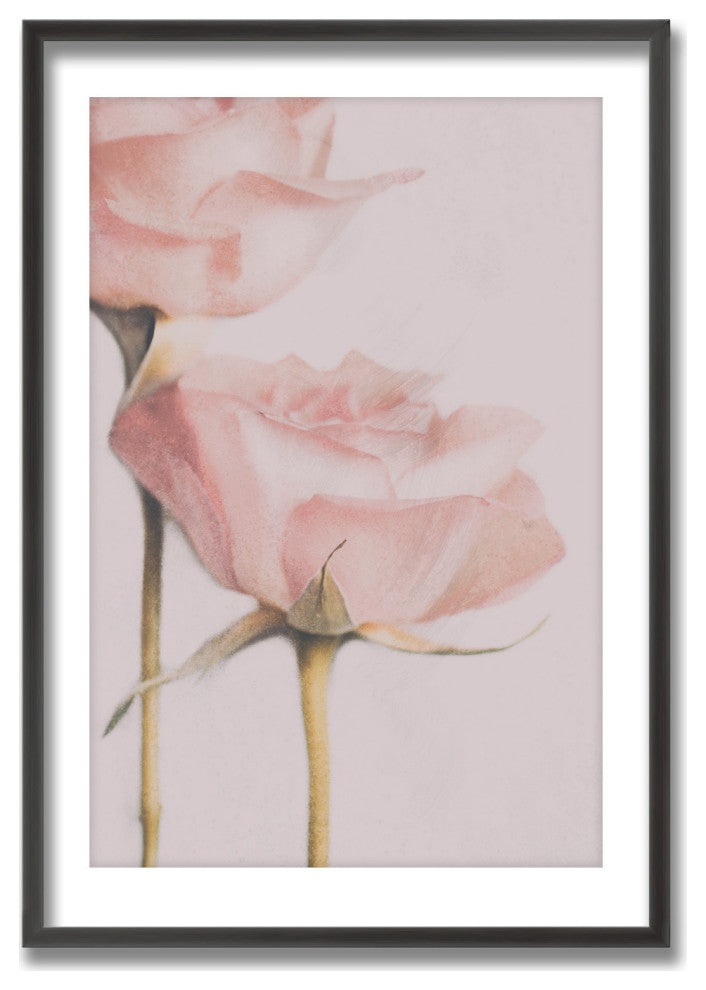 Two Roses Framed Print Wall Art by Delphine Devos, 16"x24", Framed
