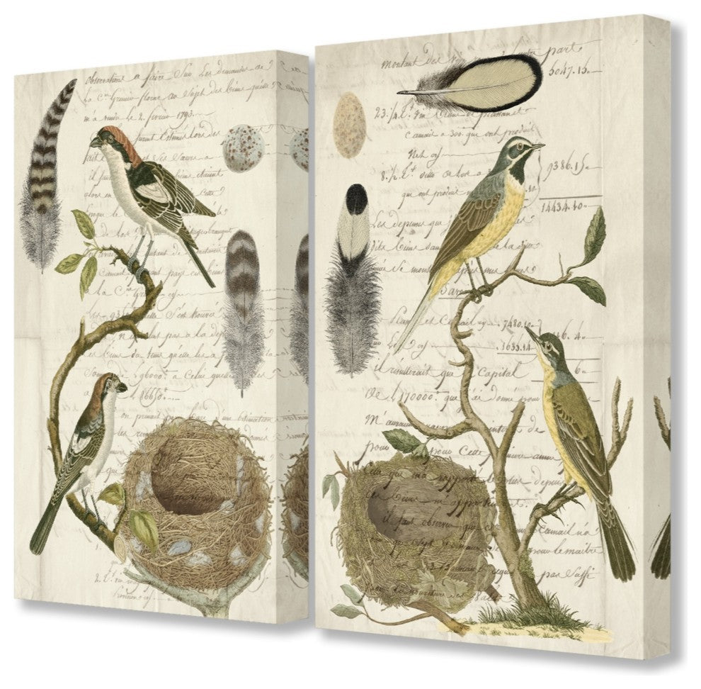 Avian Journal Bird Illustrations 2-Piece Stretched Canvas Wall Art Set, 16"x20"