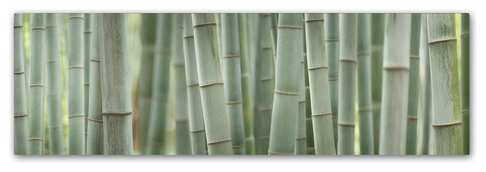 Cora Niele ''Grey Bamboo Scape'' Canvas Art