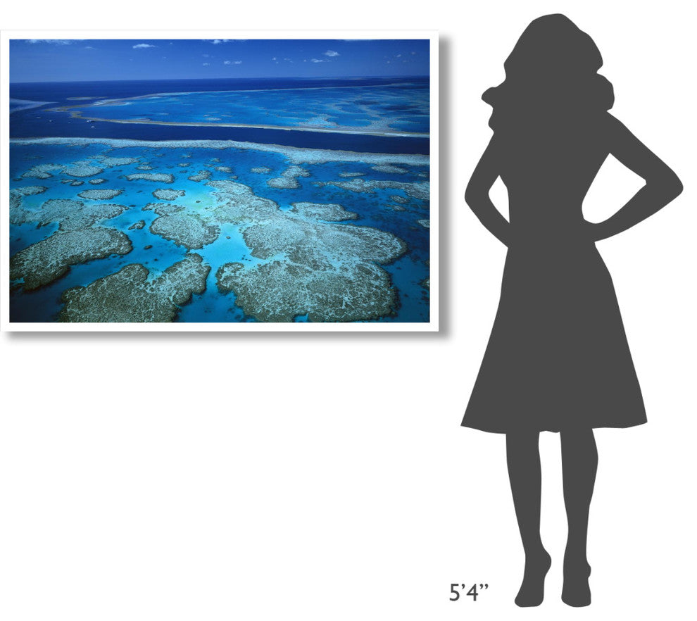 "Channel separating Hardy Reef/Hook Reef, Great Barrier Reef" Paper Art, 50"x34"
