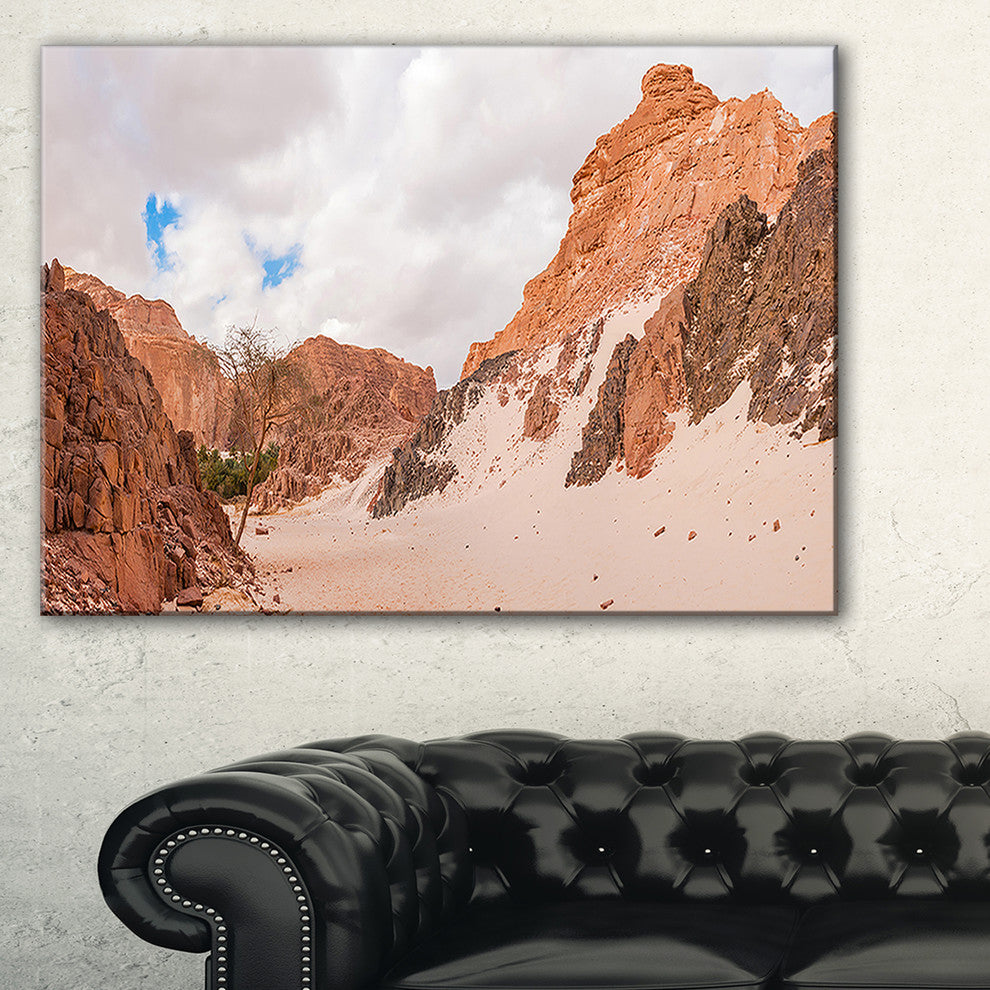 "Fantastic Panorama of White Canyon" Wall Art Landscape, 40"x20"