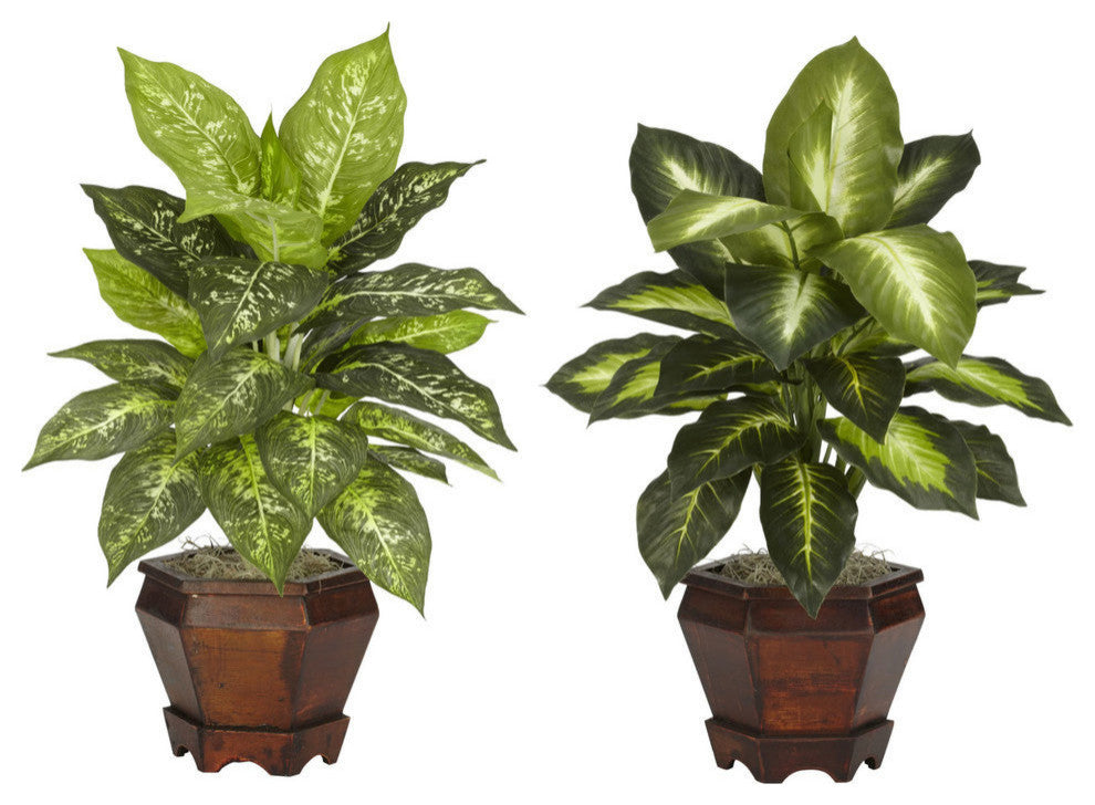 Dieffenbachia With Wood Vase Silk Plant, Set of 2, Assorted