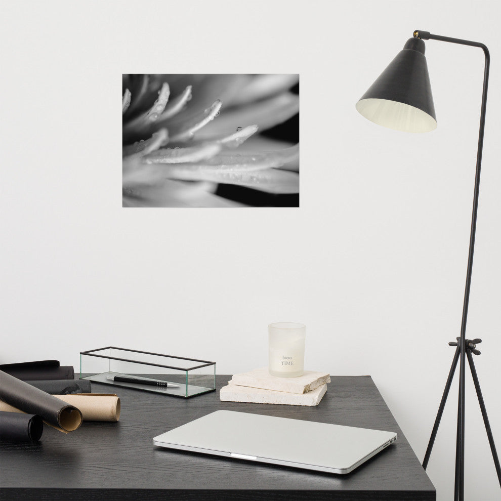 Droplets on Petals Black & White Floral Photo Unframed Wall Art Print, 12" X 16"