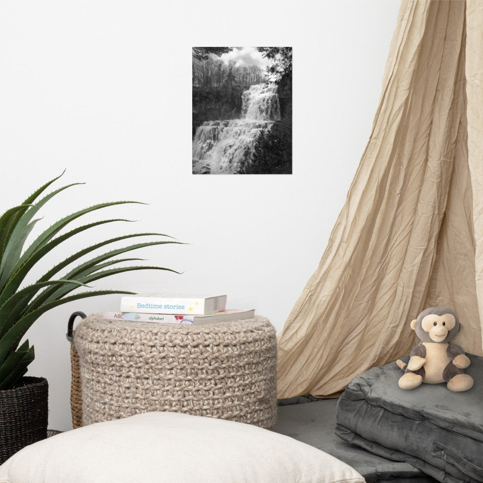 Chittenango Falls Landscape Photo Black and White Unframed Wall Art Print, 11" X 14"