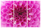 Large Pink Flower and Petals Traditional 3 Panels Metal Clock