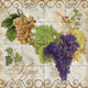 Tile Mural Kitchen Backsplash Pastoral Fruits II-CB by Color Bakery