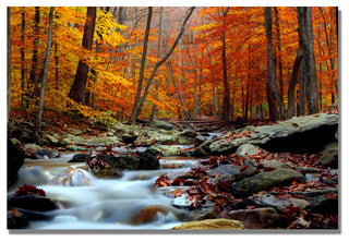 'Ultimate Truth' Canvas Art by CATeyes