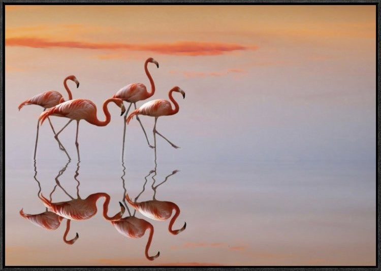 "Untitled" Framed Canvas Giclee by Anna Cseresnjes, 31x22"