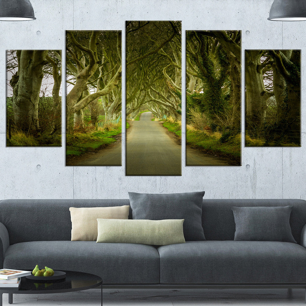 Dark Hedges Road through Old Trees, Landscape Canvas Print, 60"x32", 5 Panels